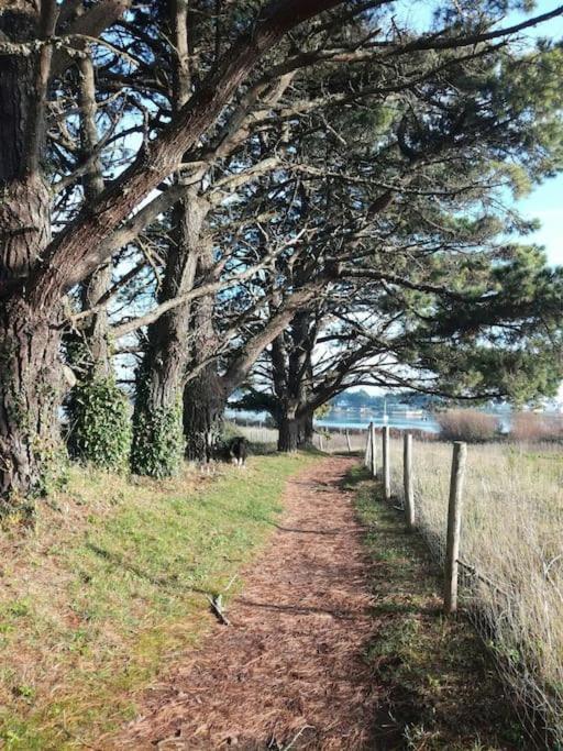 Cosy, Plages A Pieds. Morbihan. Plouhinec (Morbihan)