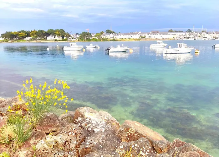 Chalet Cosy, Plages A Pieds. Morbihan.